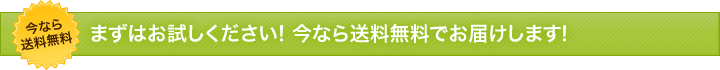 まずはお試しください! 今なら送料無料でお届けします
