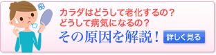 カラダはどうして老化するの？どうして病気になるの？ページへ