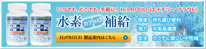 H2プラウドページへ
